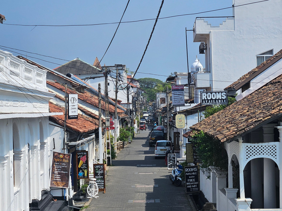 Sasha Tours-Waskaduwa必去景点