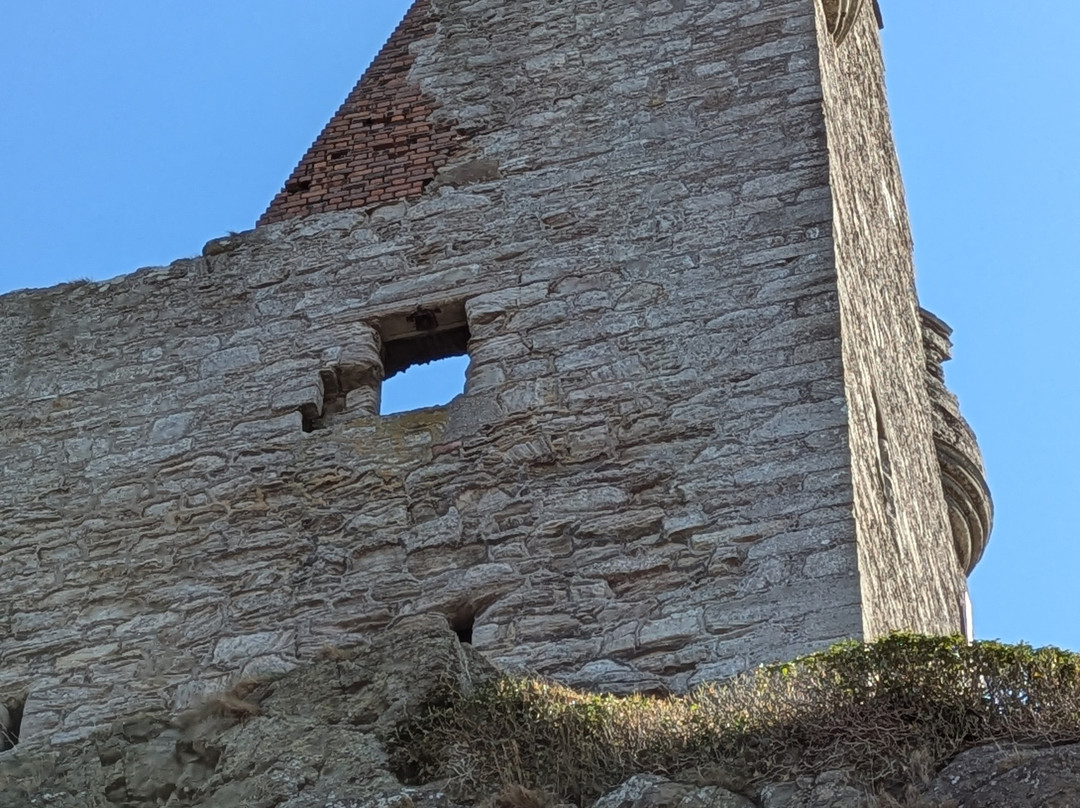 Greenan Castle景点图片