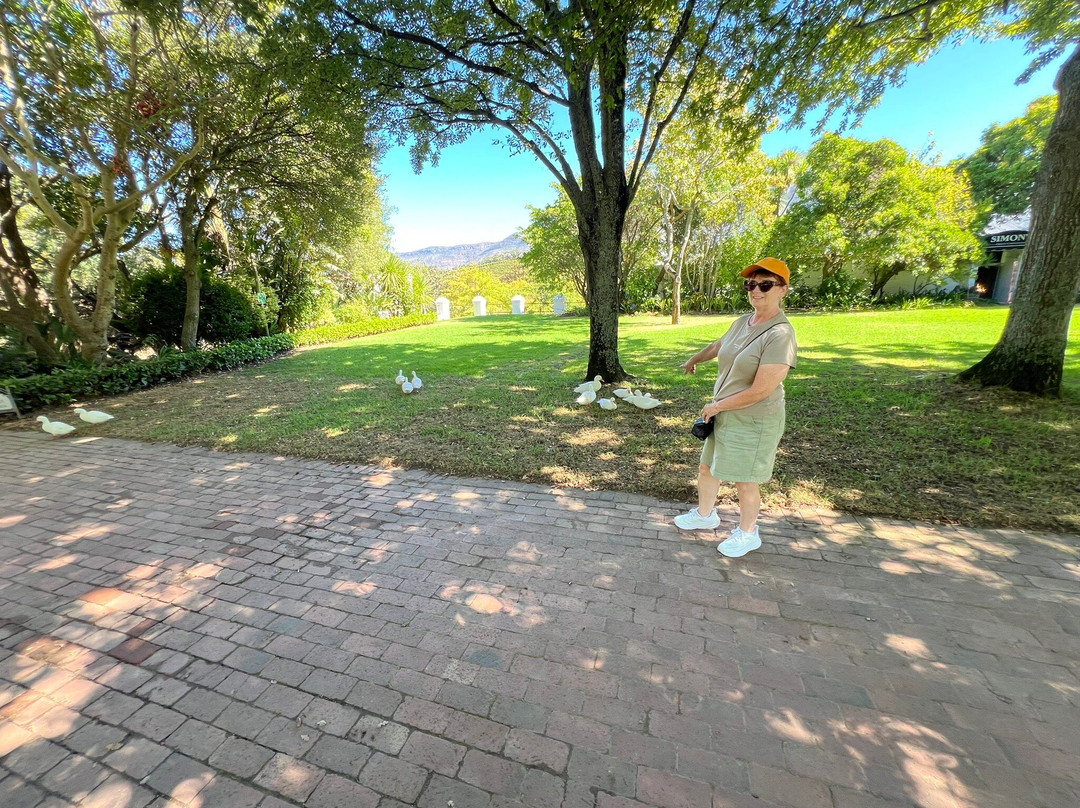 Constantia Valley-康士坦提亚必去景点