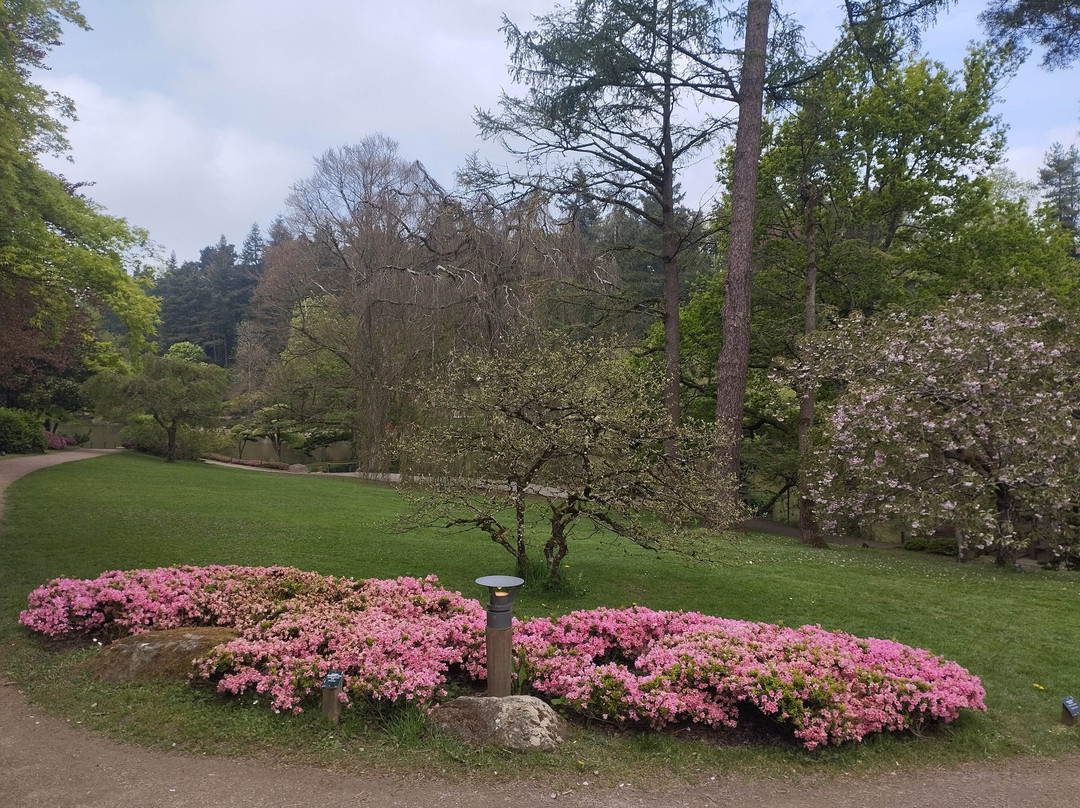 Parc Oriental de Maulevrier景点图片