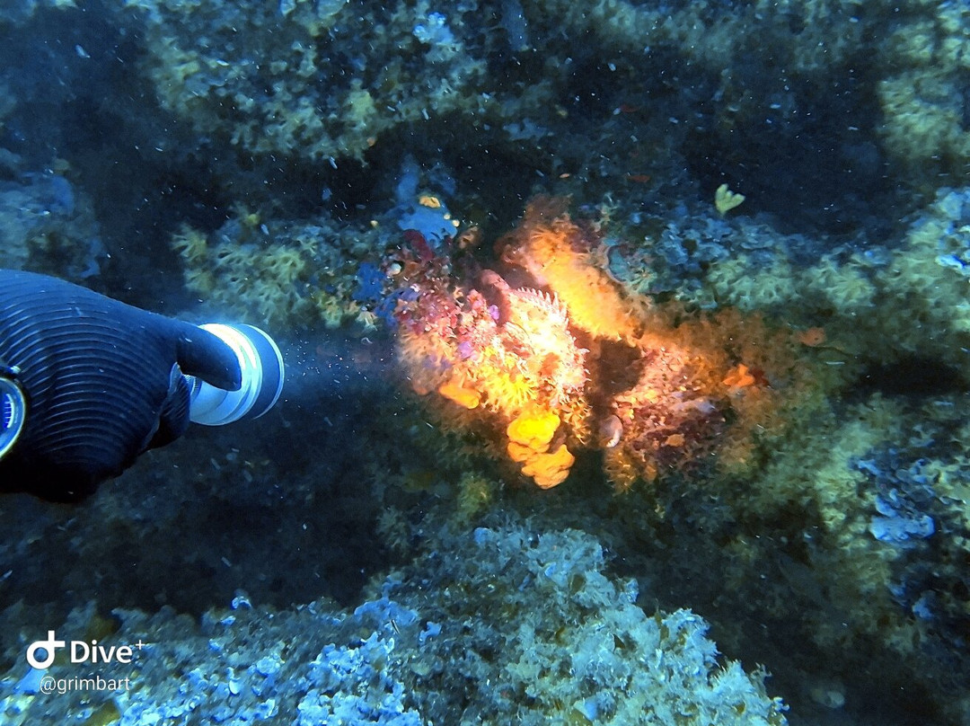 Marina di Campo Diving-Marina di Campo必去景点
