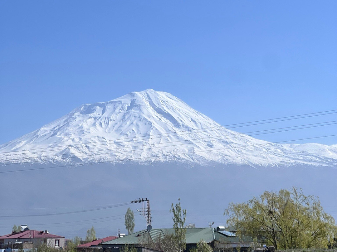 Tehran Boutique Hotel主图