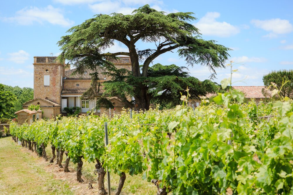 Le Château de Terride