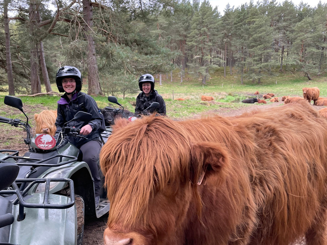 Quad Bike Treks景点图片