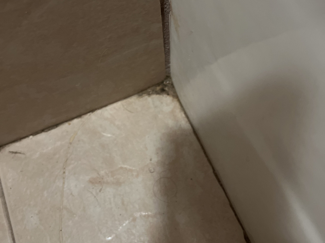 Super 8 by Wyndham Acworth/Atlanta Area主图