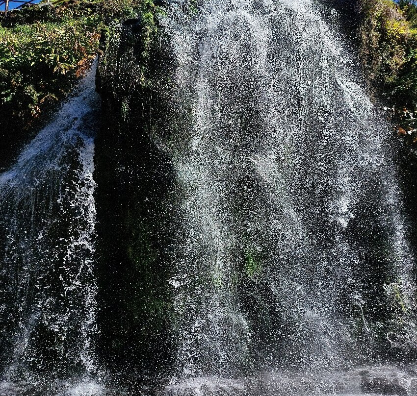 Parque Natural da Ribeira dos Caldeirões景点图片