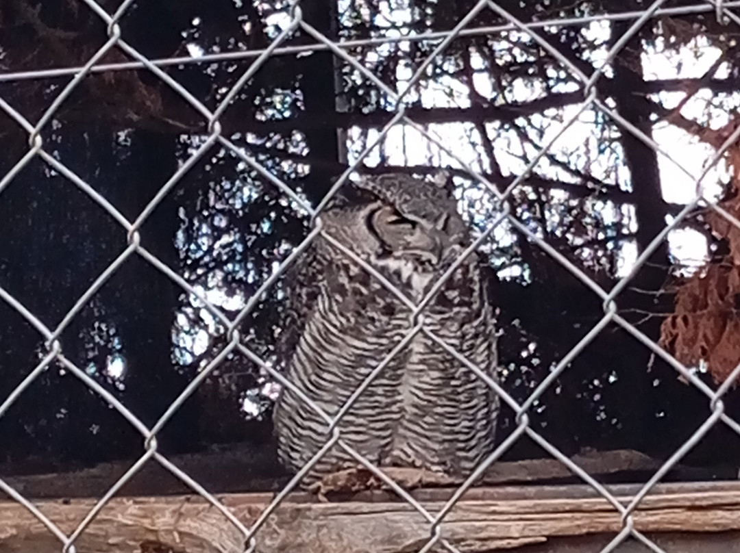 Parque Zoológico Riojanatura景点图片