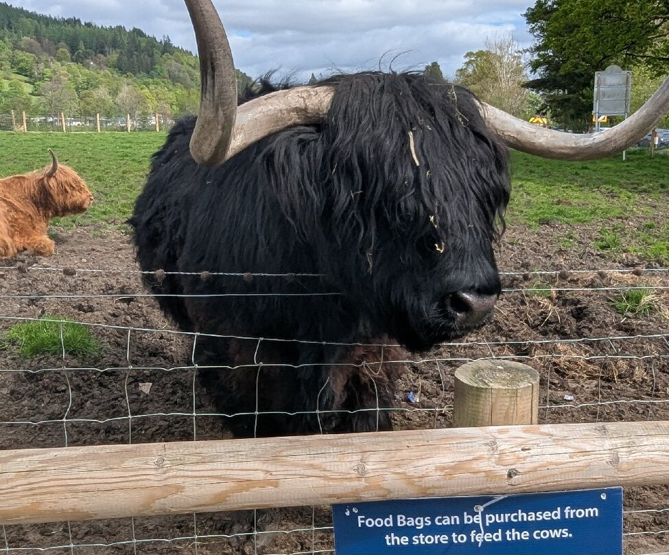 Poppies Hotel & Restaurant主图