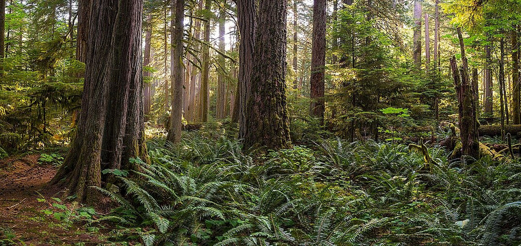 Blue Seas Gallery-温哥华必去景点