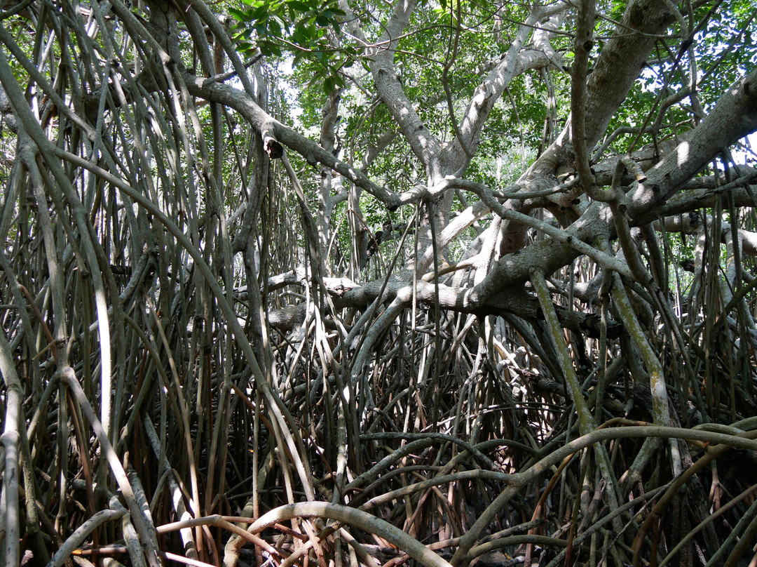 Boat tour with Martín Aguiñaga-里奥拉加托斯必去景点