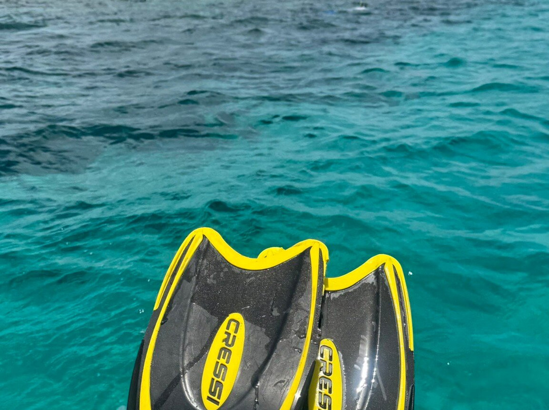 Tommy Gaunt Kitesurfing-Anegada必去景点