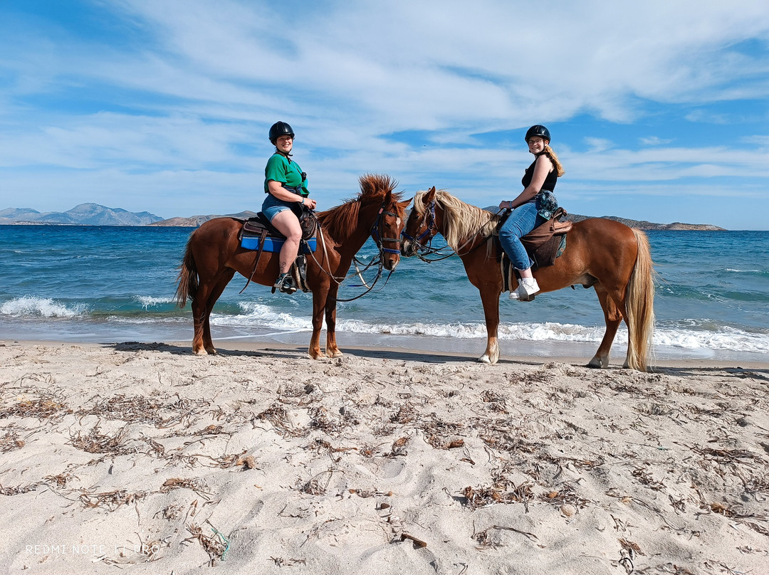 Horse Riding Family Farm-Kos Town必去景点