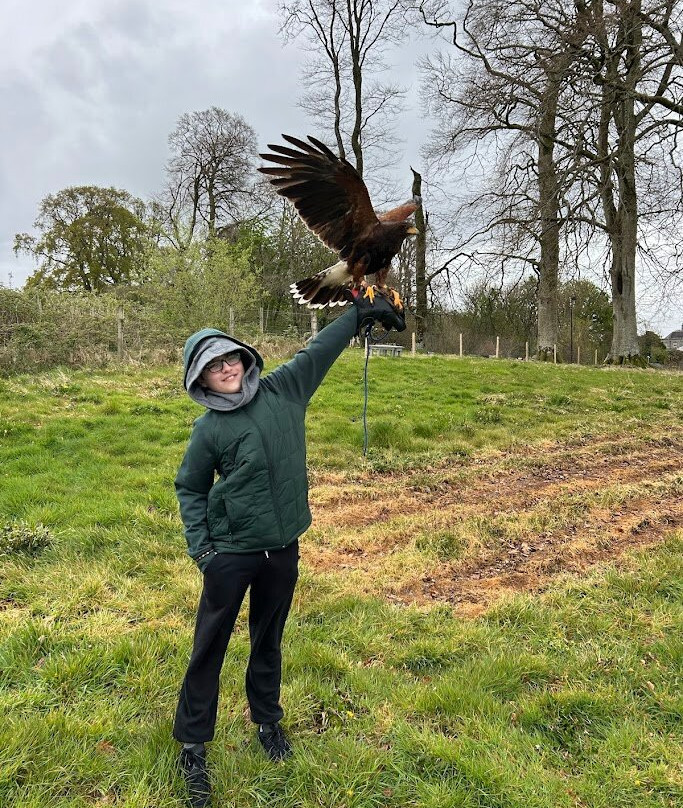 National Bird of Prey Centre-Blessington必去景点