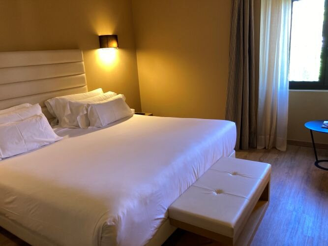 恩尔茨奥克多宫殿酒店主图