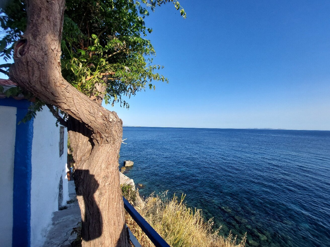 The Blue Street