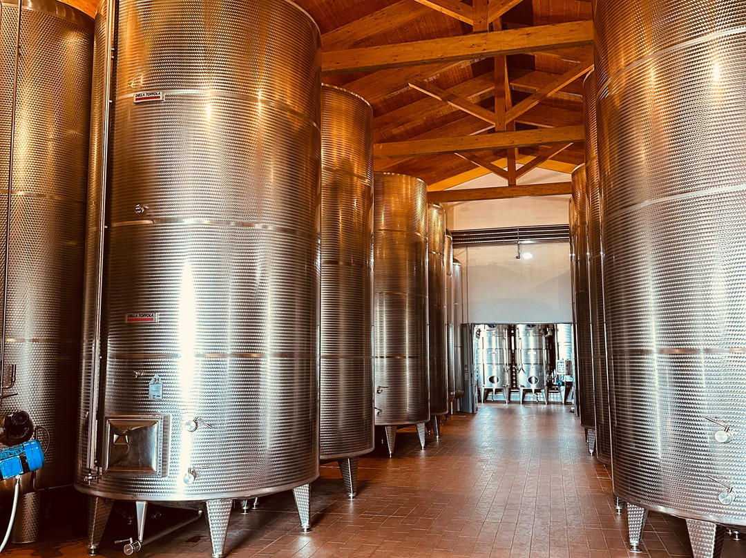 Cleto Chiarli - Tenute Agricole-Castelvetro di Modena必去景点