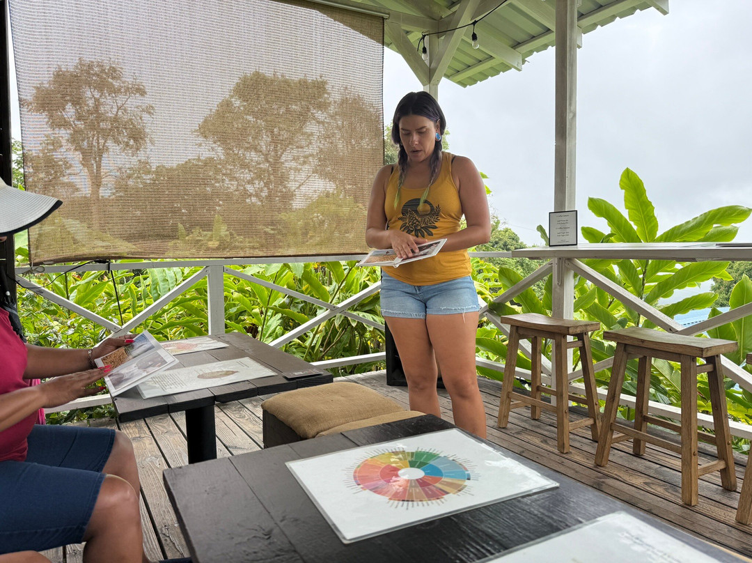 Hala Tree Coffee-库克船长必去景点