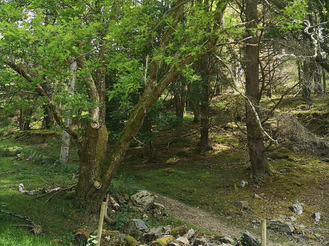 Bryntail Lead Mine Buildings-Llanidloes必去景点
