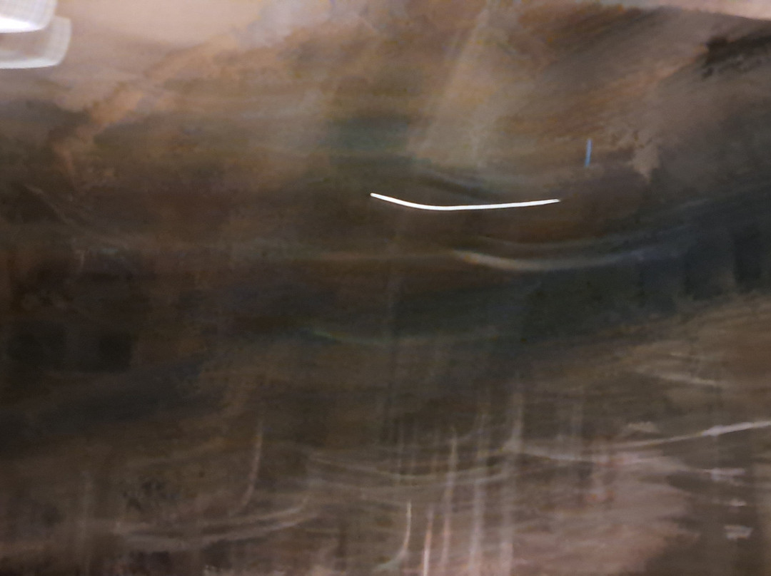 Star Wars Rise of The Resistance-奥兰多必去景点