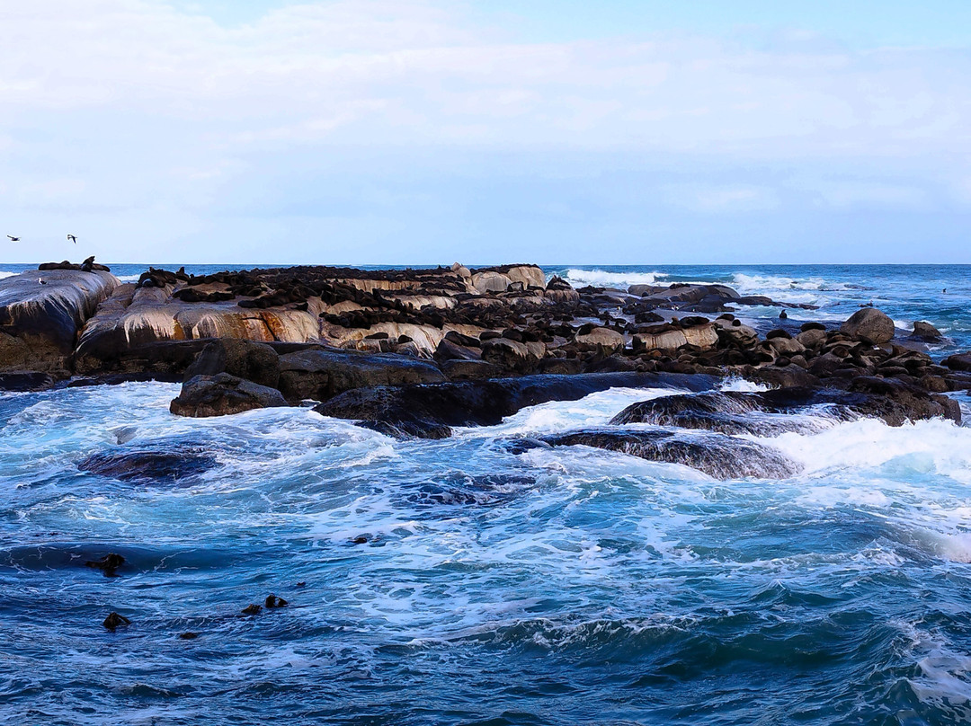 Duiker Island-木湾必去景点