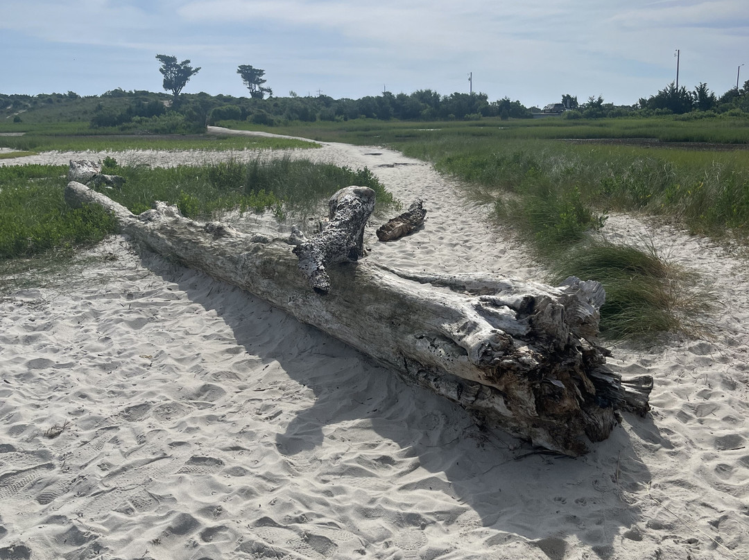 Carolina Beach Boardwalk景点图片