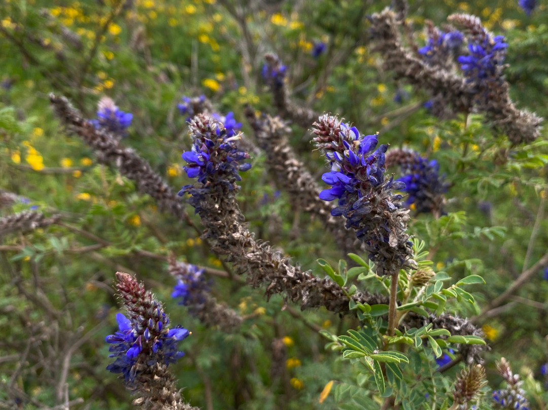 Instinto Ecuador Tours-基多必去景点