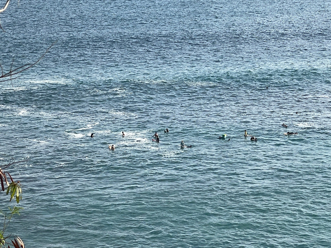 Playa Carrizalillo-埃斯孔迪多港必去景点