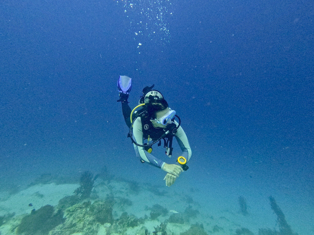 Haka Dive Center-Panglao必去景点