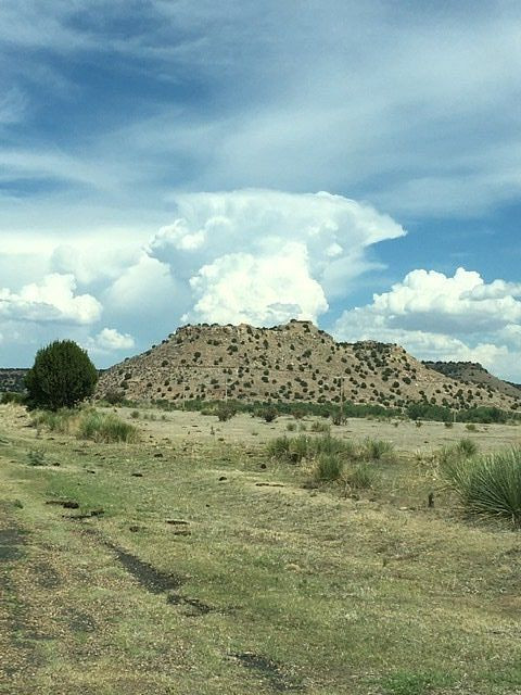 Black Mesa Bed & Breakfast主图