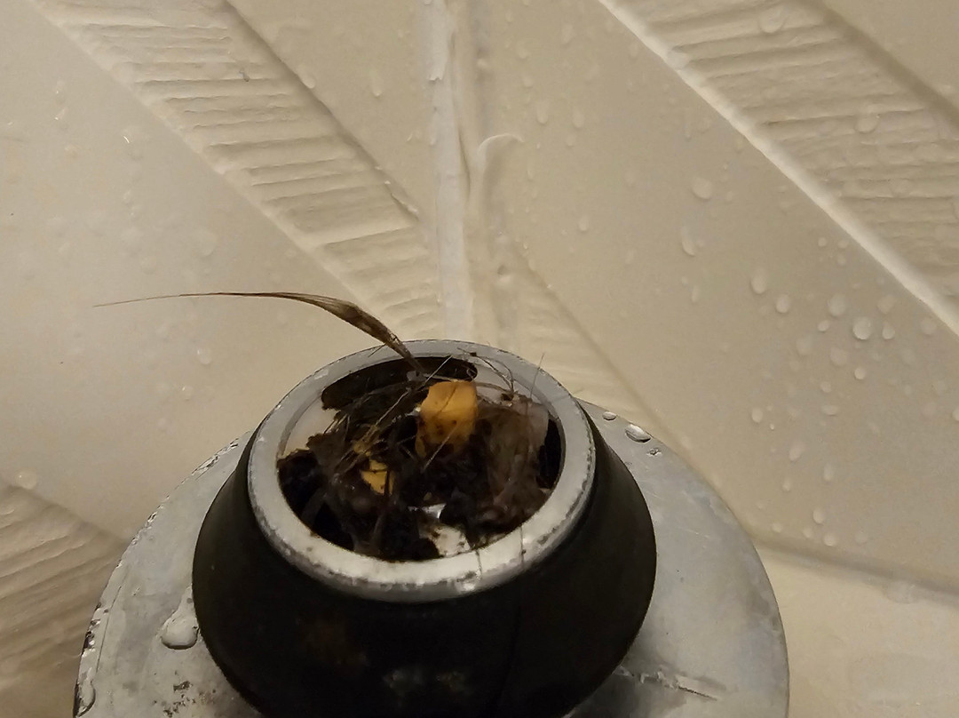 Hilton Garden Inn Atlanta Ne/gwinnett Sugarloaf主图