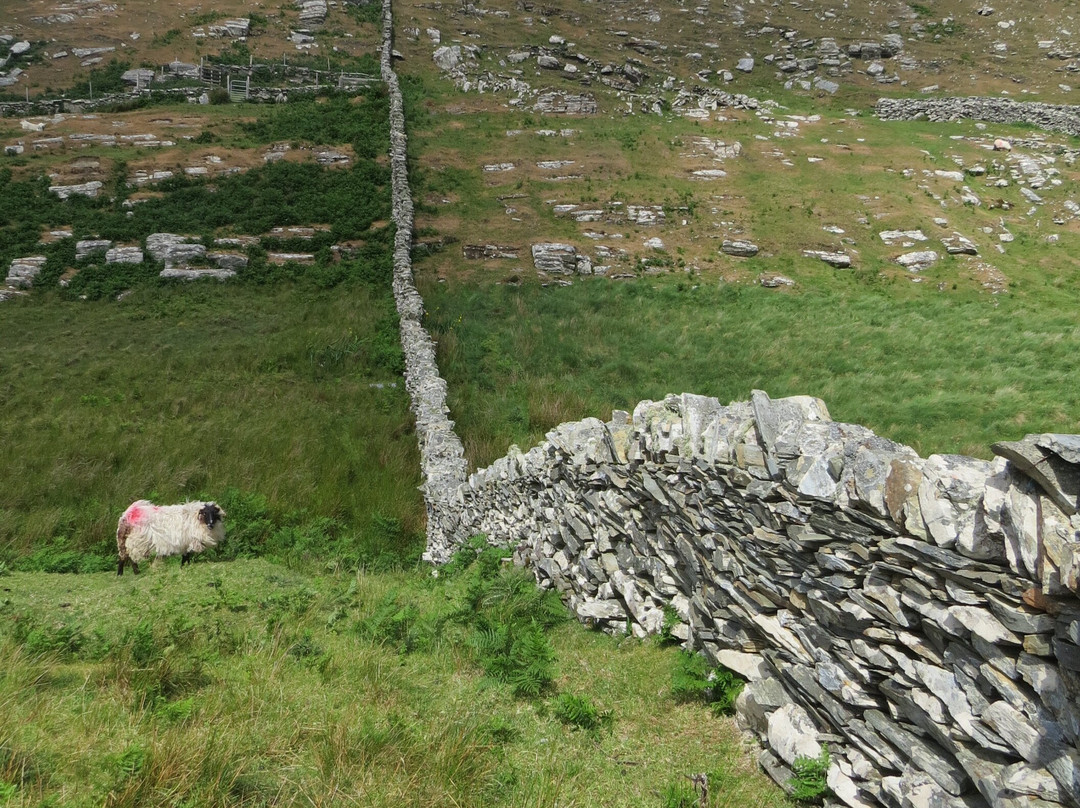 Inishturk Island景点图片