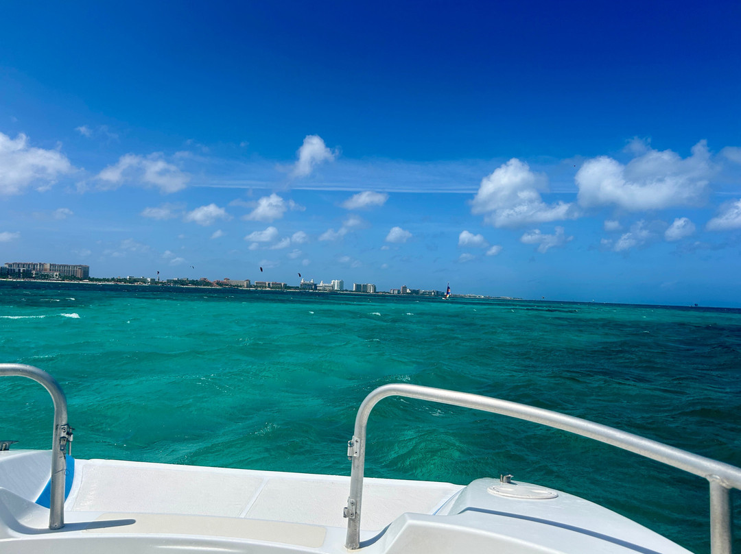 Private Snorkeling Aruba-棕榈/鹰海滩必去景点
