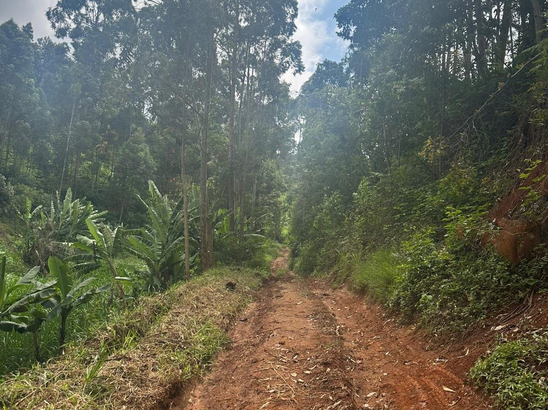 Kimakia Tea Cottages主图