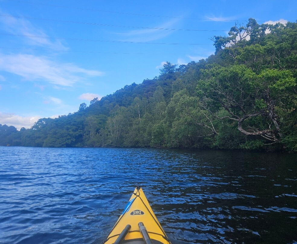 Rockhopper Sea Kayaking - Day Tours景点图片