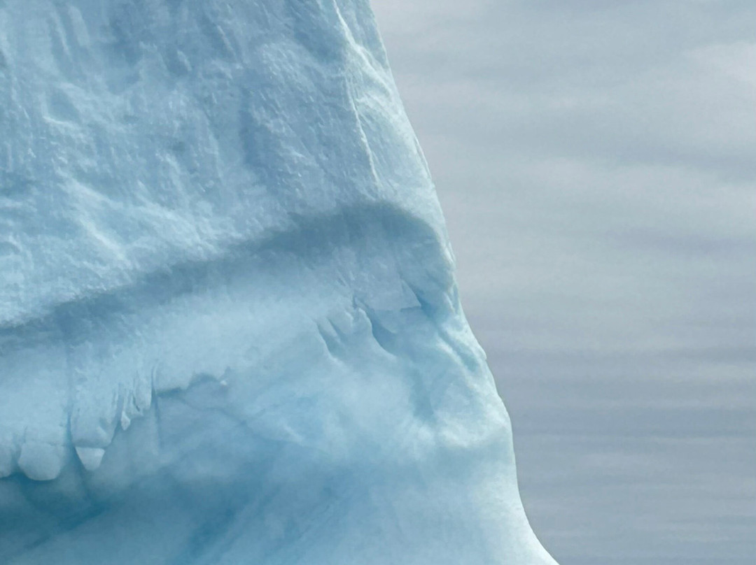 Iceberg Alley Boat Tours-St. Anthony必去景点