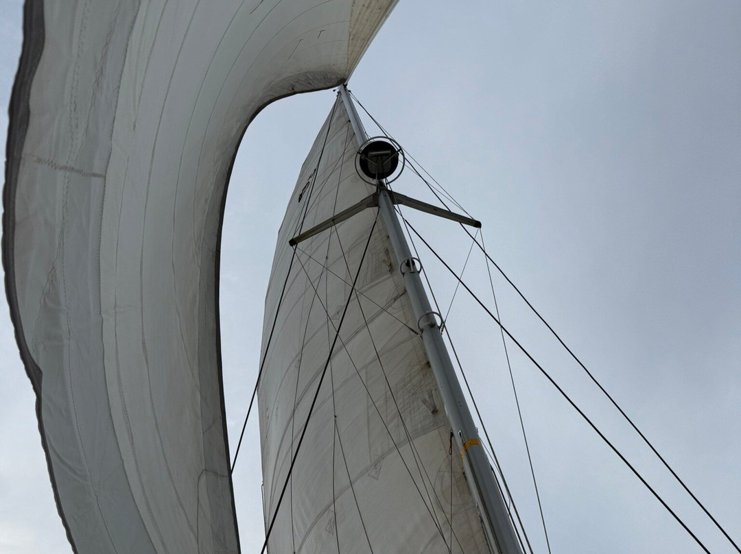 SurfnSail景点图片