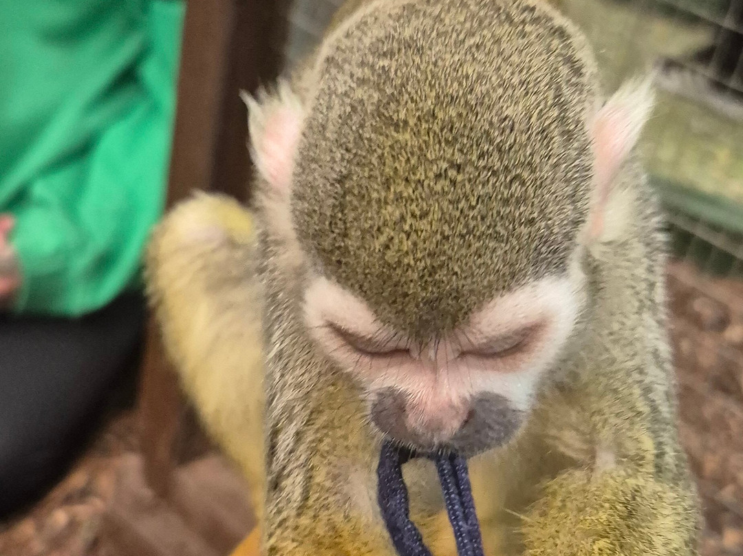 Get to Know Animals Ltd景点图片