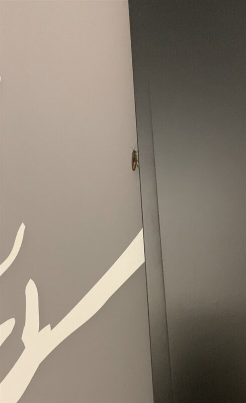 Hyatt Place Melbourne / Palm Bay / I-95主图