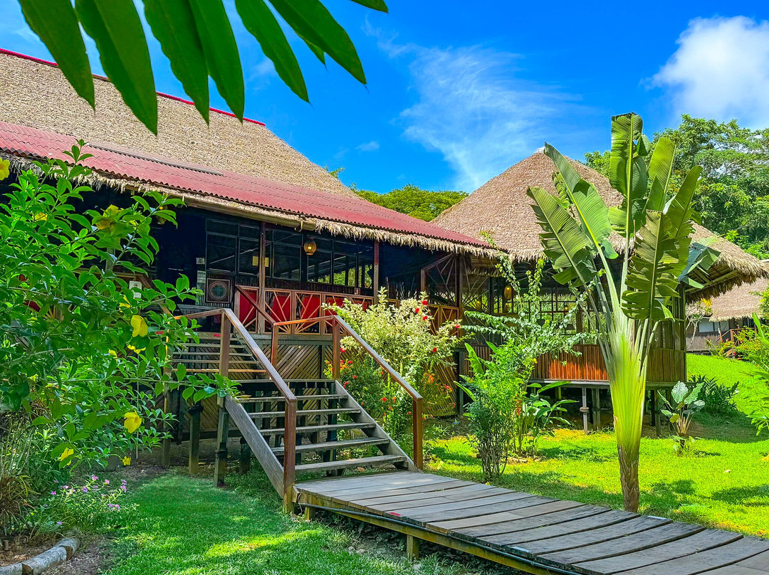 Corto Maltes Amazonia主图