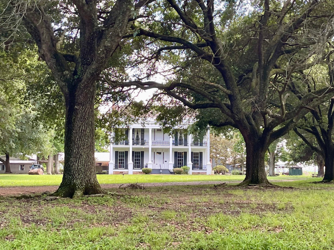 Loyd Hall Plantation主图