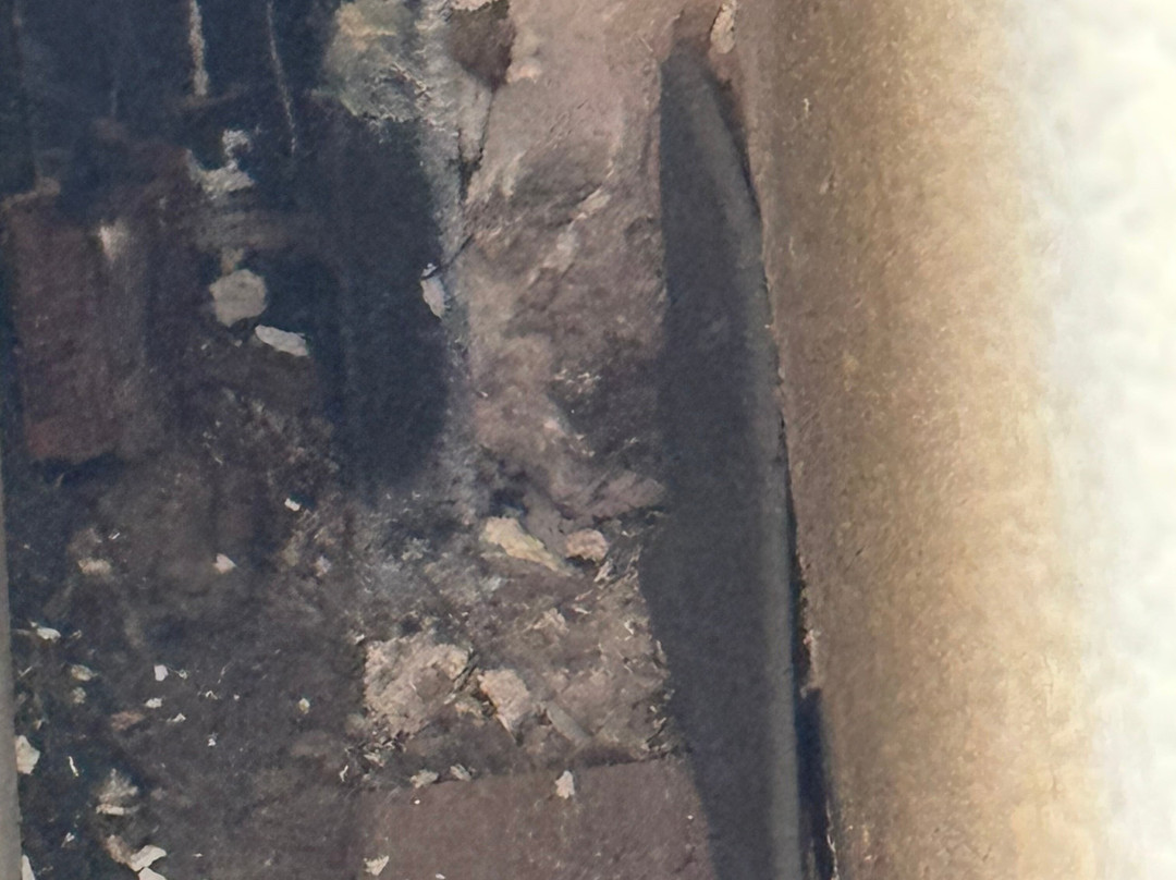 Comfort Inn Pensacola - University Area主图