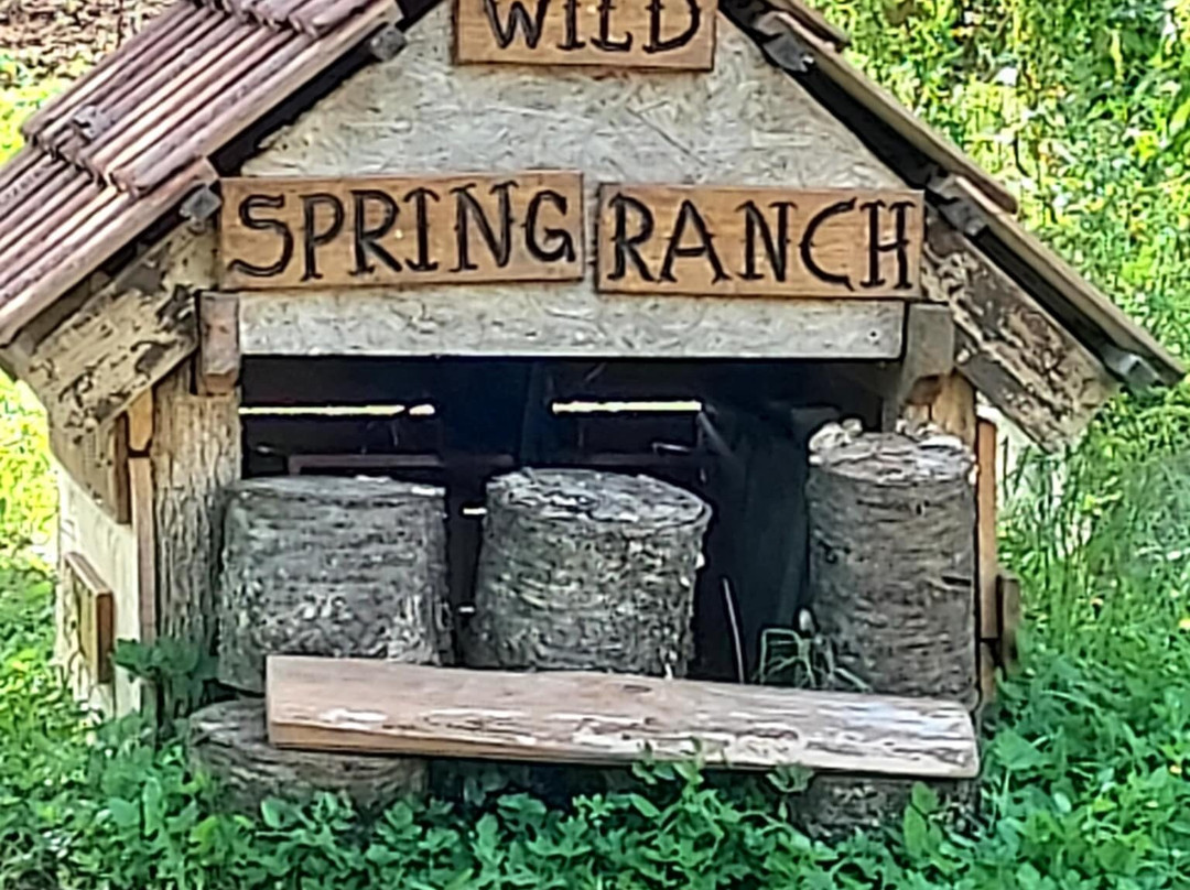 Wild Spring Ranch景点图片