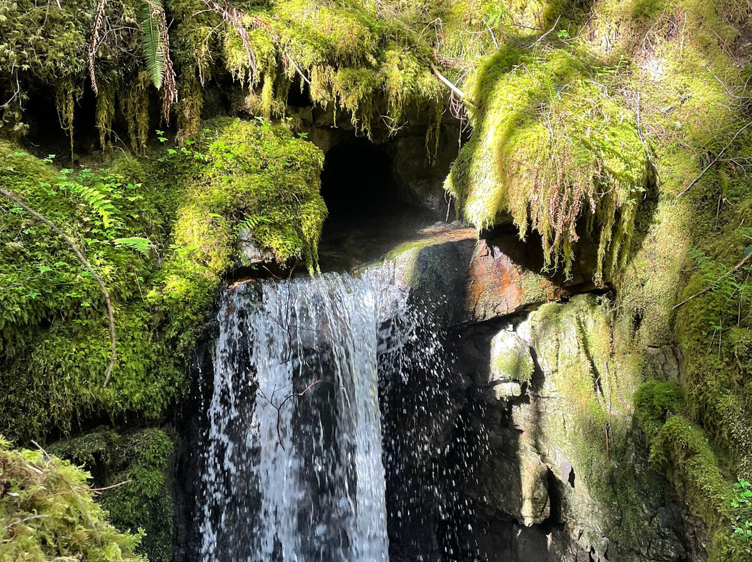 Alice Lake Loop景点图片