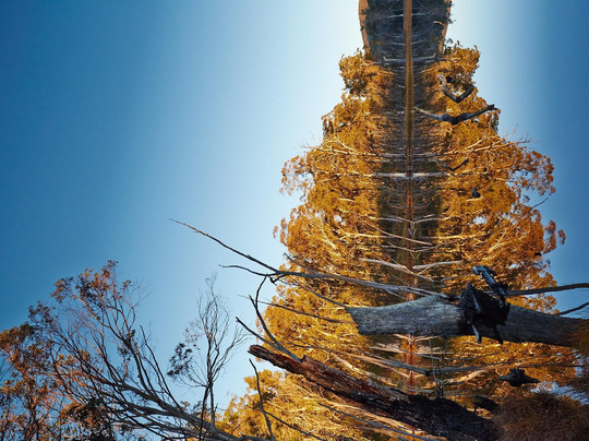 Lake Cobbler-Alpine National Park必去景点