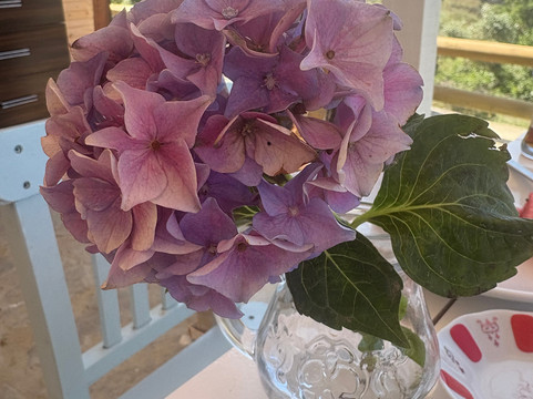 Bergüzar Hanım Konukevi