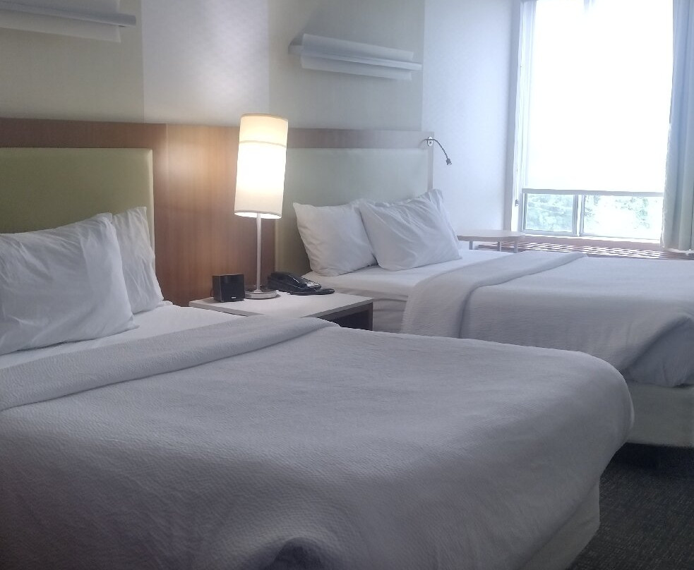 SpringHill Suites by Marriott Bridgeport Clarksburg主图