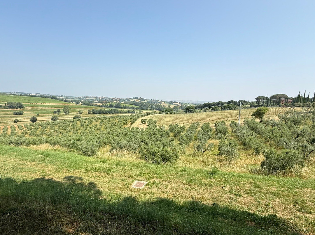 BINDELLA tenuta Vallocaia-蒙特普尔恰诺必去景点