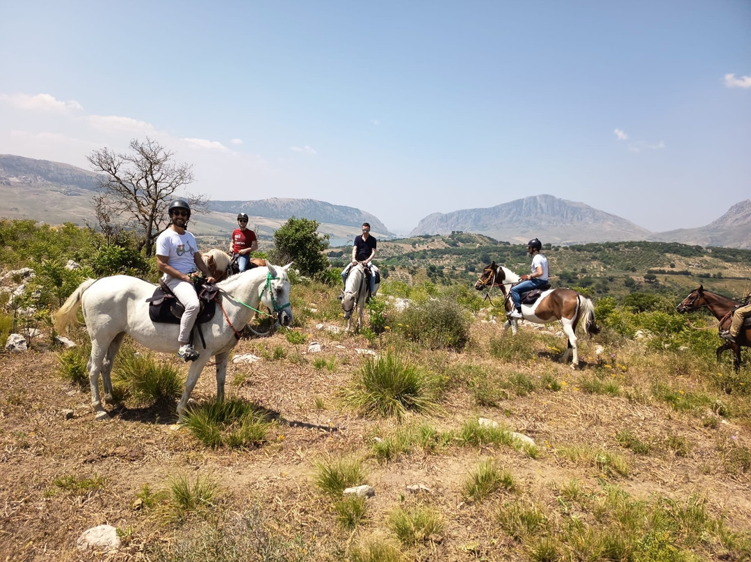 Horse Trekking Sicily景点图片