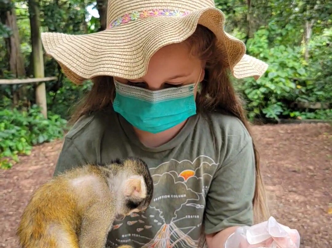 Monkey Jungle-迈阿密必去景点