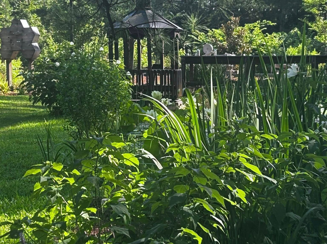 Cape Fear Botanical Garden-费耶特维尔必去景点